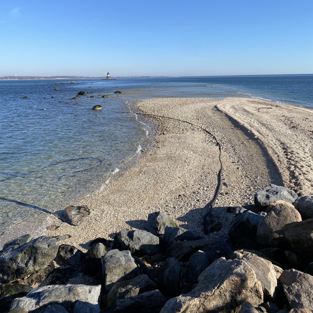 Why A Warmer Winter Might Feel Great, but Might Not Be Great For Our East Coast&nbsp;Environment