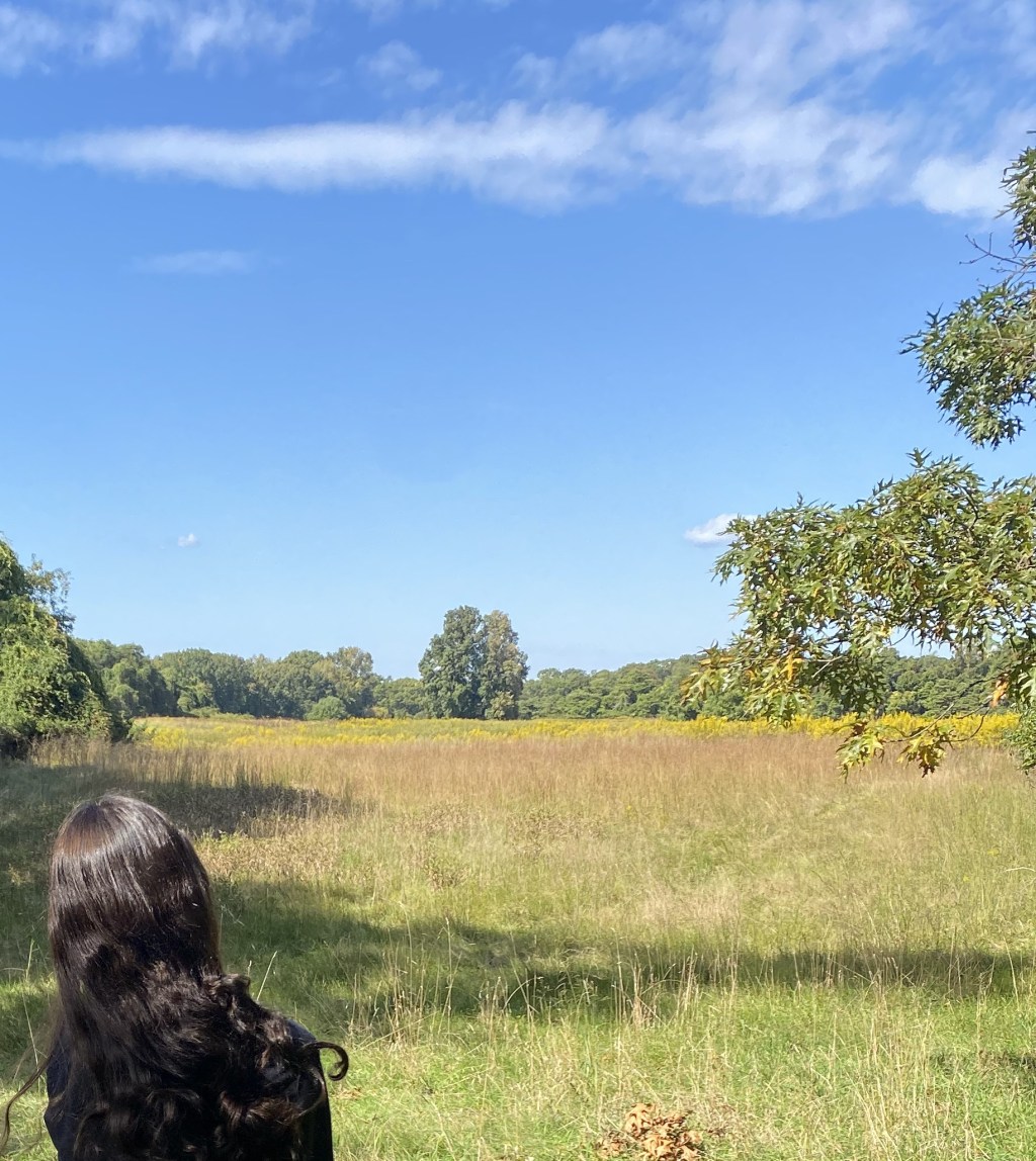 Spring Mindfulness: 5 tips to being mindful in&nbsp;spring