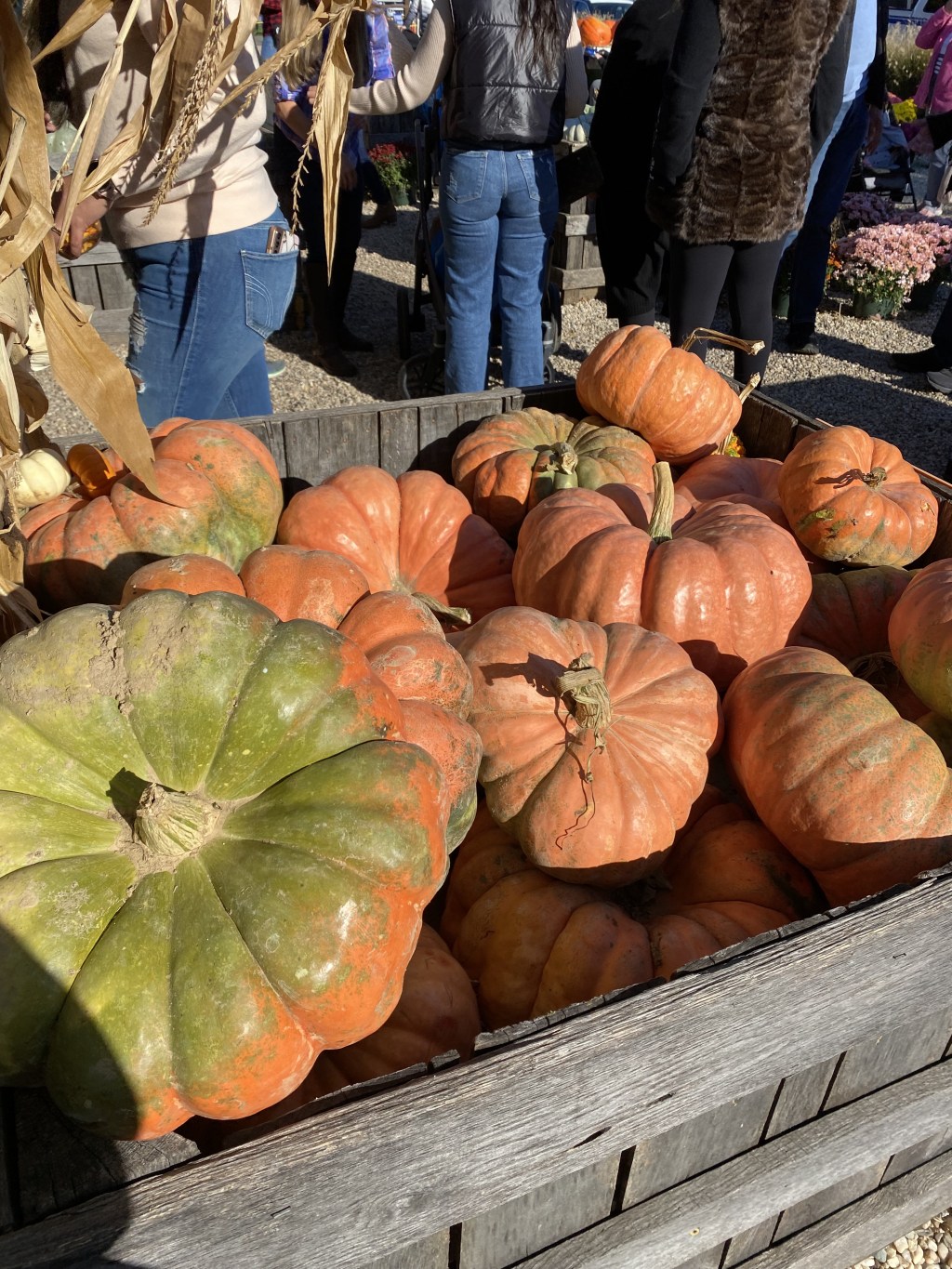 Embracing Fall Mindfulness Practices: A Mindset That Works For&nbsp;You!